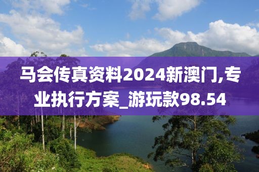馬會傳真資料2024新澳門,專業(yè)執(zhí)行方案_游玩款98.54