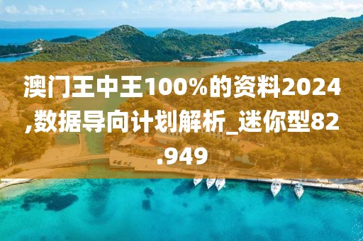 澳門王中王100%的資料2024,數(shù)據(jù)導(dǎo)向計(jì)劃解析_迷你型82.949