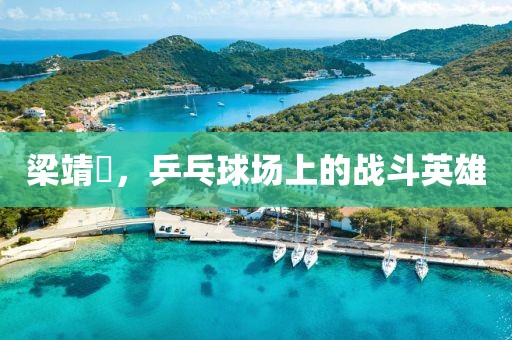 梁靖崑，乒乓球場上的戰(zhàn)斗英雄