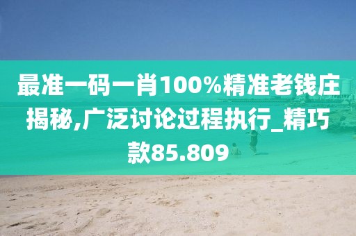 最準(zhǔn)一碼一肖100%精準(zhǔn)老錢莊揭秘,廣泛討論過(guò)程執(zhí)行_精巧款85.809
