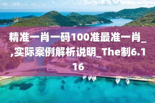 精準一肖一碼100準最準一肖_,實際案例解析說明_The制6.116