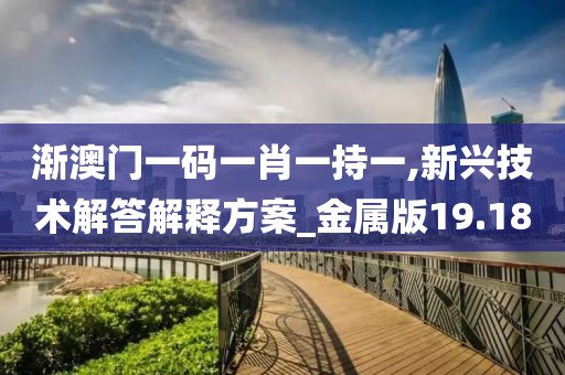 漸澳門一碼一肖一持一,新興技術(shù)解答解釋方案_金屬版19.18