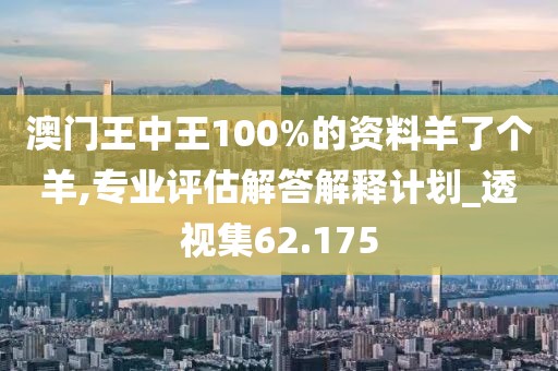 澳門王中王100%的資料羊了個(gè)羊,專業(yè)評估解答解釋計(jì)劃_透視集62.175