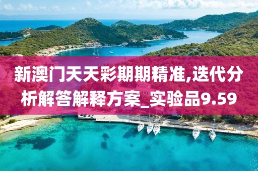 新澳門(mén)天天彩期期精準(zhǔn),迭代分析解答解釋方案_實(shí)驗(yàn)品9.59
