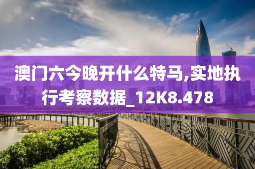 澳門六今晚開什么特馬,實地執(zhí)行考察數(shù)據(jù)_12K8.478