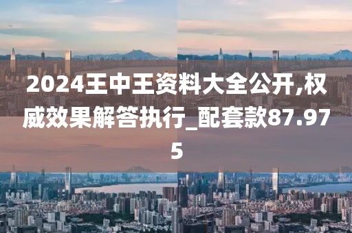 2024王中王資料大全公開,權(quán)威效果解答執(zhí)行_配套款87.975