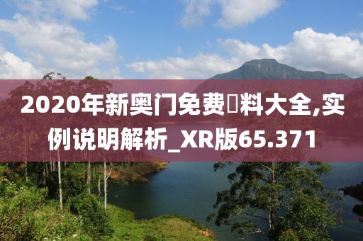 2020年新奧門免費資料大全,實例說明解析_XR版65.371