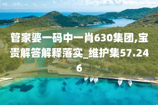 管家婆一碼中一肖630集團,寶貴解答解釋落實_維護集57.246