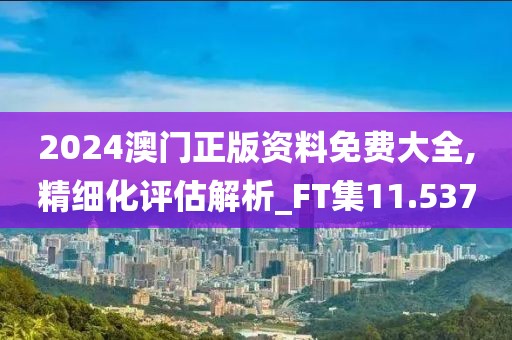 2024澳門正版資料免費大全,精細化評估解析_FT集11.537
