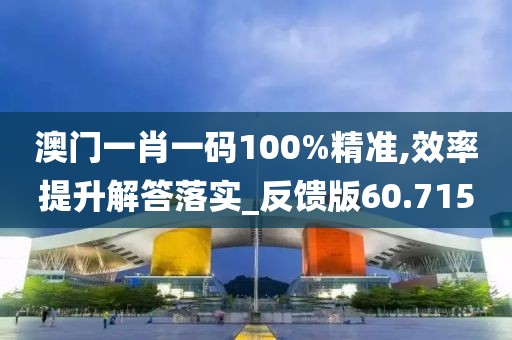 澳門(mén)一肖一碼100%精準(zhǔn),效率提升解答落實(shí)_反饋版60.715