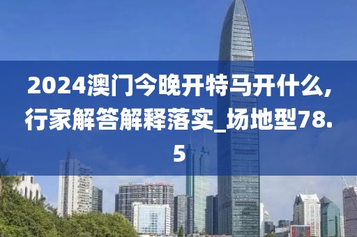 2024澳門今晚開特馬開什么,行家解答解釋落實(shí)_場地型78.5