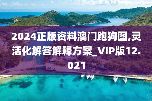 2024正版資料澳門跑狗圖,靈活化解答解釋方案_VIP版12.021