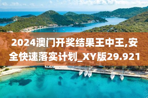 2024澳門開獎結果王中王,安全快速落實計劃_XY版29.921