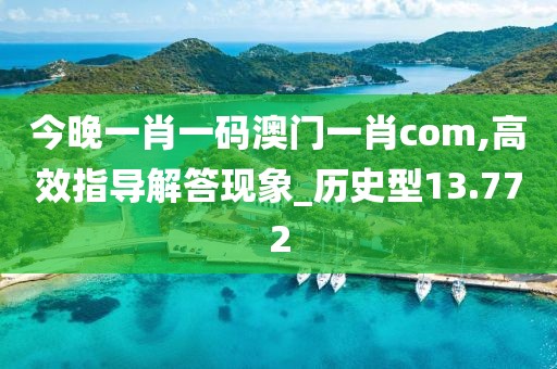 今晚一肖一碼澳門一肖com,高效指導(dǎo)解答現(xiàn)象_歷史型13.772