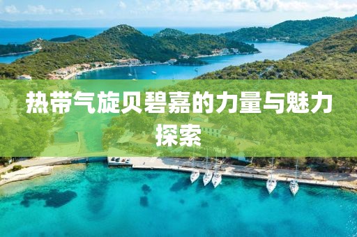 熱帶氣旋貝碧嘉的力量與魅力探索