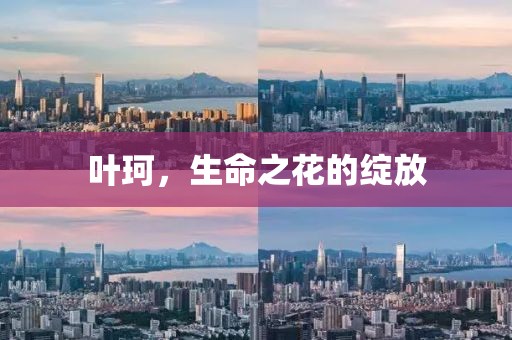 清風(fēng)與酒 第33頁