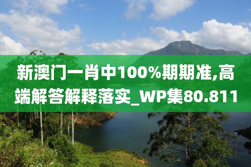 新澳門一肖中100%期期準(zhǔn),高端解答解釋落實_WP集80.811