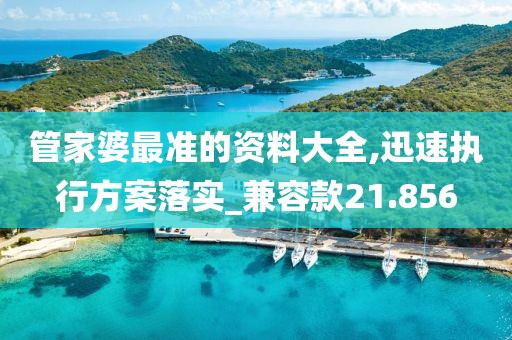 管家婆最準(zhǔn)的資料大全,迅速執(zhí)行方案落實_兼容款21.856