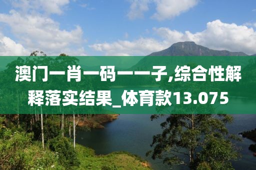 澳門一肖一碼一一子,綜合性解釋落實結(jié)果_體育款13.075
