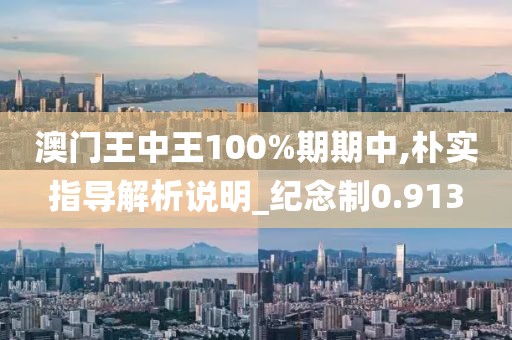 澳門王中王100%期期中,樸實(shí)指導(dǎo)解析說明_紀(jì)念制0.913