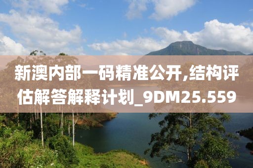 新澳內(nèi)部一碼精準公開,結(jié)構(gòu)評估解答解釋計劃_9DM25.559