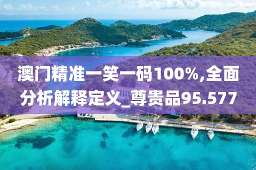 澳門精準(zhǔn)一笑一碼100%,全面分析解釋定義_尊貴品95.577