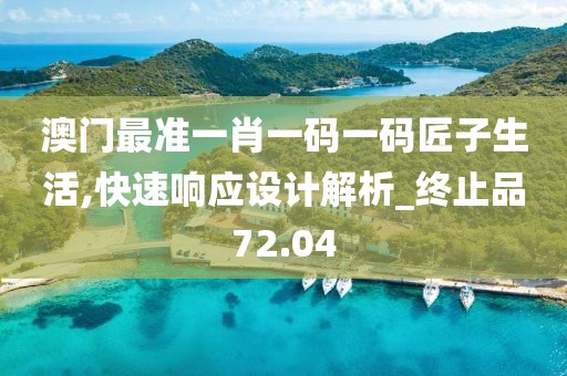 澳門最準(zhǔn)一肖一碼一碼匠子生活,快速響應(yīng)設(shè)計(jì)解析_終止品72.04
