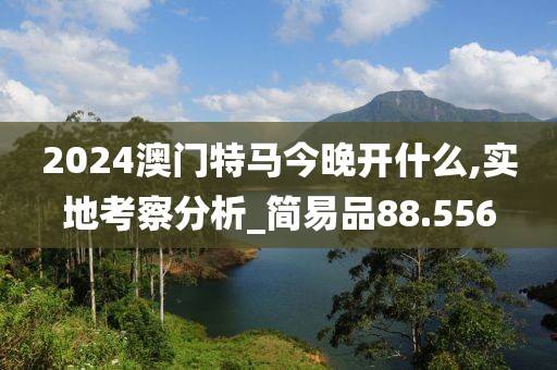 2024澳門特馬今晚開什么,實(shí)地考察分析_簡易品88.556