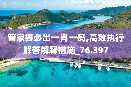管家婆必出一肖一碼,高效執(zhí)行解答解釋措施_76.397