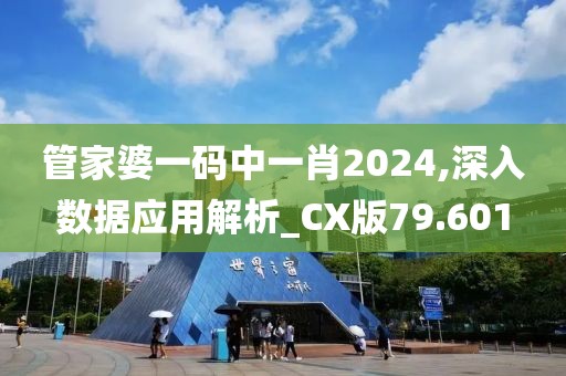 管家婆一碼中一肖2024,深入數(shù)據(jù)應(yīng)用解析_CX版79.601