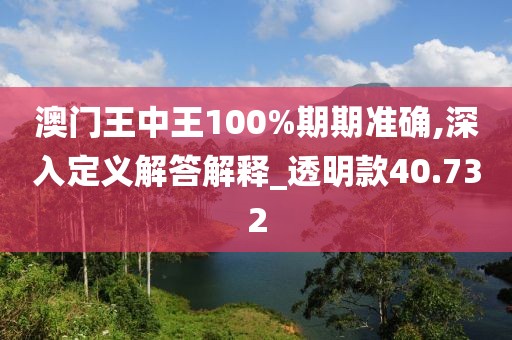 澳門王中王100%期期準(zhǔn)確,深入定義解答解釋_透明款40.732