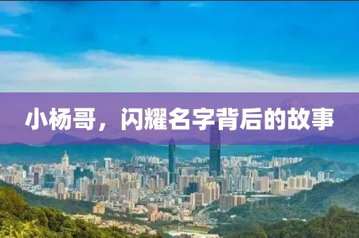 小楊哥，閃耀名字背后的故事
