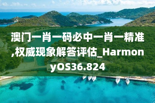 澳門一肖一碼必中一肖一精準,權威現(xiàn)象解答評估_HarmonyOS36.824