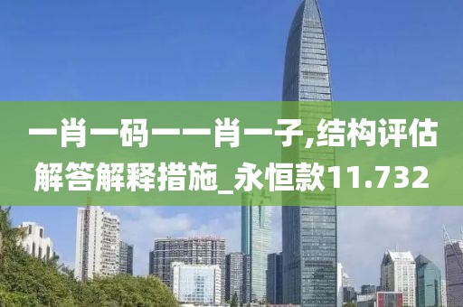 一肖一碼一一肖一子,結(jié)構(gòu)評(píng)估解答解釋措施_永恒款11.732