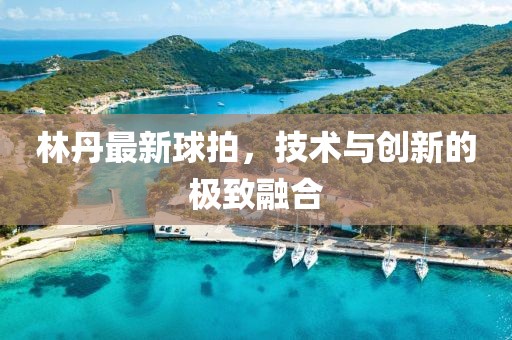 林丹最新球拍，技術(shù)與創(chuàng)新的極致融合