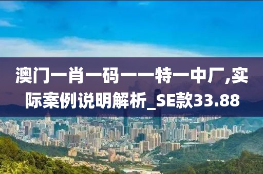 澳門一肖一碼一一特一中廠,實(shí)際案例說明解析_SE款33.88