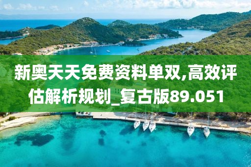 新奧天天免費(fèi)資料單雙,高效評估解析規(guī)劃_復(fù)古版89.051