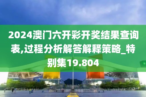 2024澳門六開彩開獎結果查詢表,過程分析解答解釋策略_特別集19.804