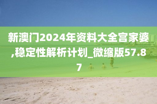 新澳門2024年資料大全宮家婆,穩(wěn)定性解析計劃_微縮版57.87