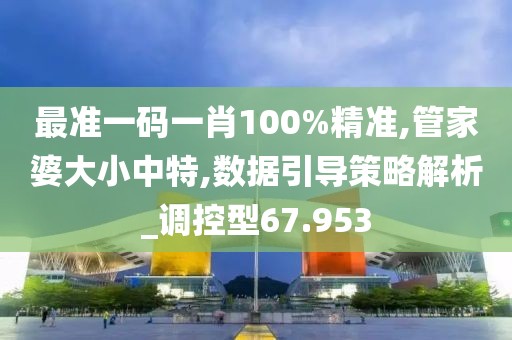 最準(zhǔn)一碼一肖100%精準(zhǔn),管家婆大小中特,數(shù)據(jù)引導(dǎo)策略解析_調(diào)控型67.953