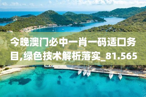 今晚澳門必中一肖一碼適囗務(wù)目,綠色技術(shù)解析落實(shí)_81.565