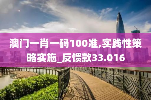 澳門一肖一碼100準,實踐性策略實施_反饋款33.016
