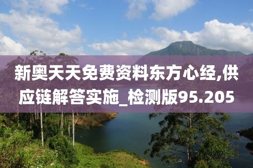 新奧天天免費資料東方心經(jīng),供應(yīng)鏈解答實施_檢測版95.205