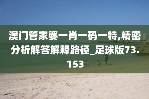 澳門管家婆一肖一碼一特,精密分析解答解釋路徑_足球版73.153