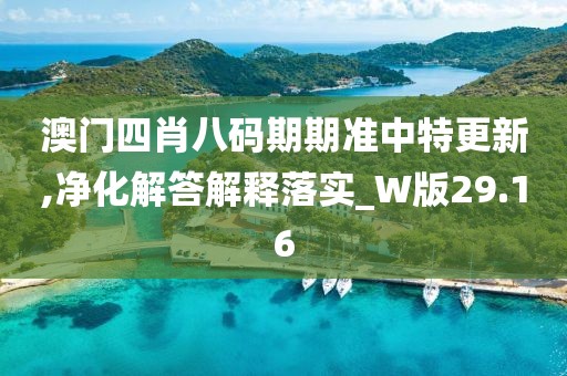 澳門四肖八碼期期準(zhǔn)中特更新,凈化解答解釋落實(shí)_W版29.16