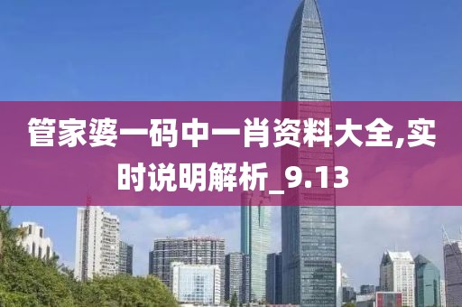 管家婆一碼中一肖資料大全,實時說明解析_9.13