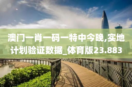 澳門一肖一碼一特中今晚,實地計劃驗證數(shù)據(jù)_體育版23.883