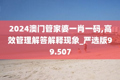 2024澳門管家婆一肖一碼,高效管理解答解釋現(xiàn)象_嚴選版99.507