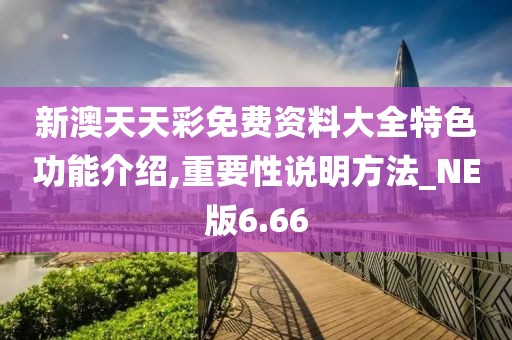 新澳天天彩免費資料大全特色功能介紹,重要性說明方法_NE版6.66