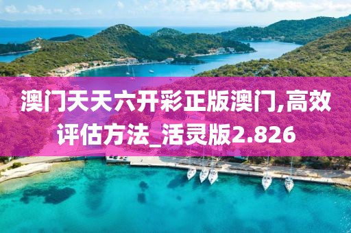 澳門天天六開(kāi)彩正版澳門,高效評(píng)估方法_活靈版2.826